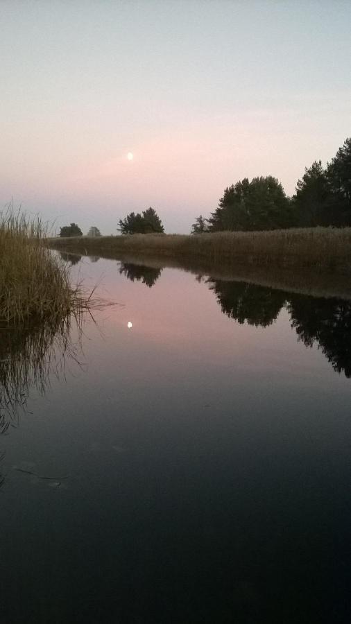 Tihase Puhkemajake Pärnu Dış mekan fotoğraf